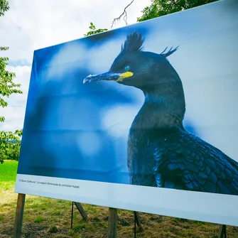 Festival international de photos animalières et de nature