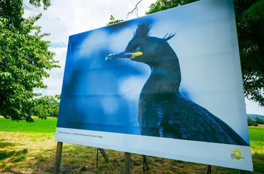 Festival international de photos animalières et de nature