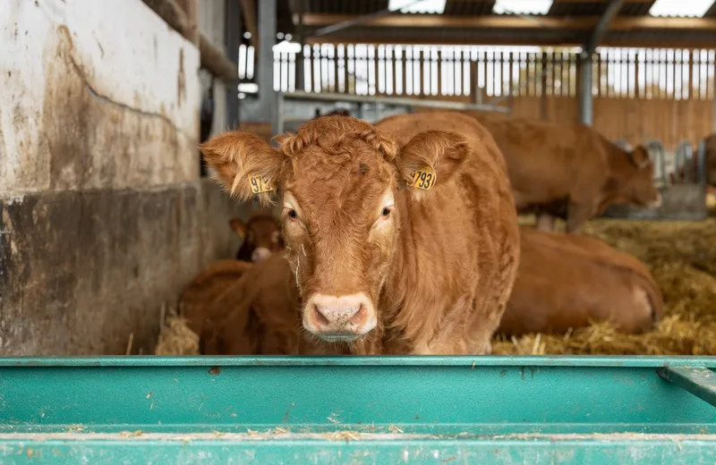 Ferme de La Petite Prairie