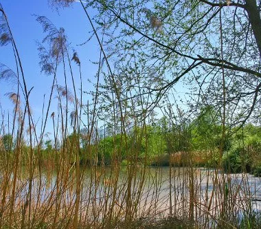 Petite Camargue Alsacienne