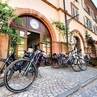 Basel Bike Tours