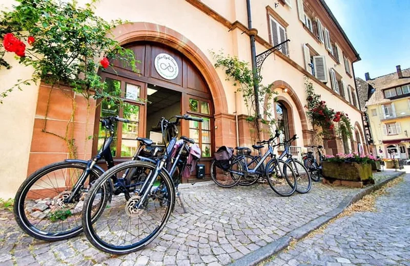 Basel Bike Tours