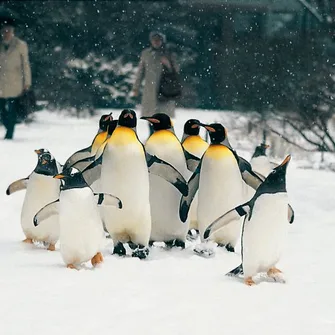 Zoo de Bâle