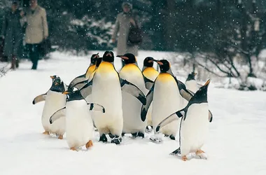 Zoo de Bâle