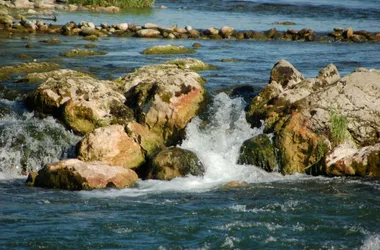 Ile du Rhin et Barre d’Istein