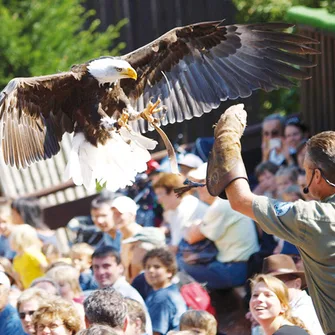 Parc ornithologique