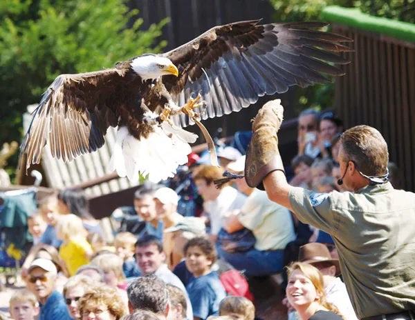 Parc ornithologique