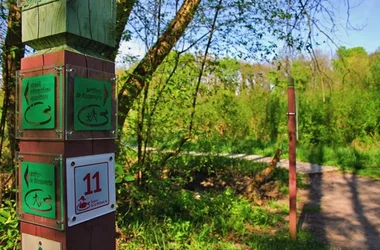 Les sentiers de la Petite Camargue Alsacienne