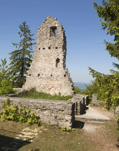 Les ruines de Farnsburg