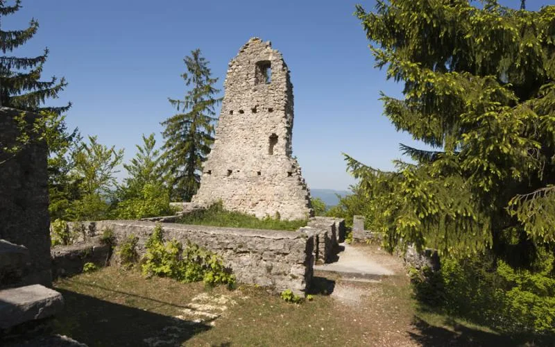 Les ruines de Farnsburg