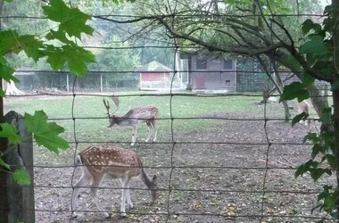 Parc zoologique Lange Erlen