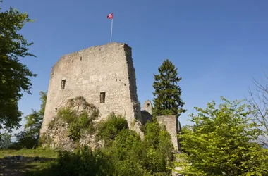 Les ruines de Farnsburg