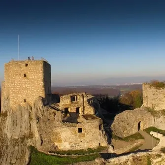 Meublé Coeur de Sundgau