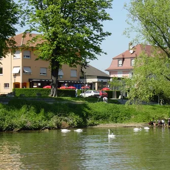 Hôtel Brasserie du Rhin