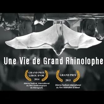 Soirée ciné plein-air : “L’appel des libellules” et “Une vie de Grand Rhinolophe”