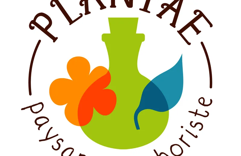 Plantae