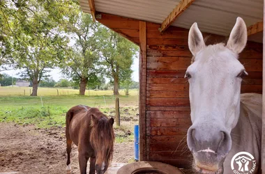 LA PICHARDIÈRE, GITE 9 PERSONNES