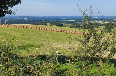 RÊVERIES AUX CORBIÈRES