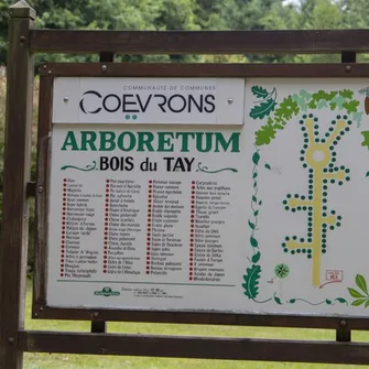 ARBORETUM DU BOIS DU TAY