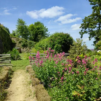 JARDIN MÉDIÉVAL DE SAINTE-SUZANNE