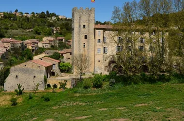 ESPARRON-DE-VERDON – Autour de la Colle