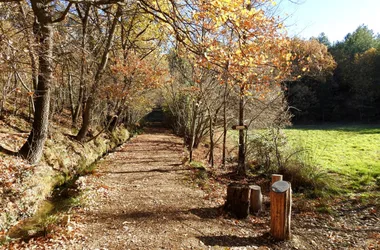 MOUSTIERS-SAINTE-MARIE – Le sentier découverte de Valx