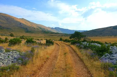 ROUGON – Rougon – Chasteuil + Autocar