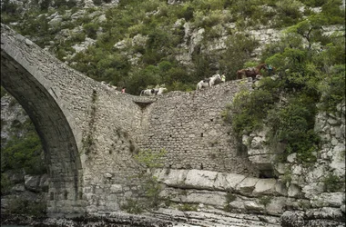 Pont de Tusset