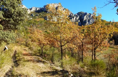 MOUSTIERS-SAINTE-MARIE – Le sentier découverte de Valx