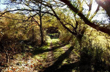 MOUSTIERS-SAINTE-MARIE – Le sentier découverte de Valx