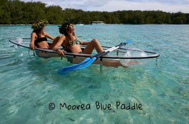 Moorea Blue Paddle & Kayak Transparents - Tahiti Tourisme