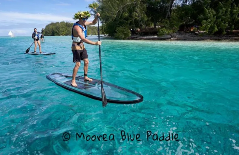 Moorea Blue Paddle & Kayak Transparents - Tahiti Tourisme