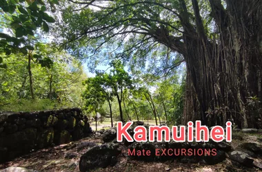 Mate Excursions - Kamuihei