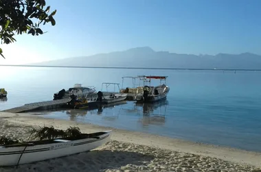 Ia Ora Diving - Tahiti Tourisme