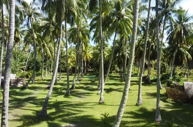 Tikehau Glamping