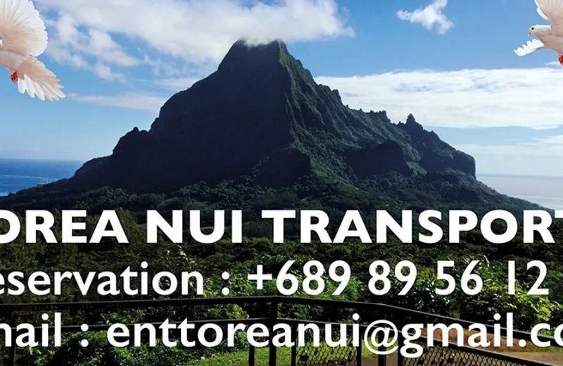 Torea Nui Transports