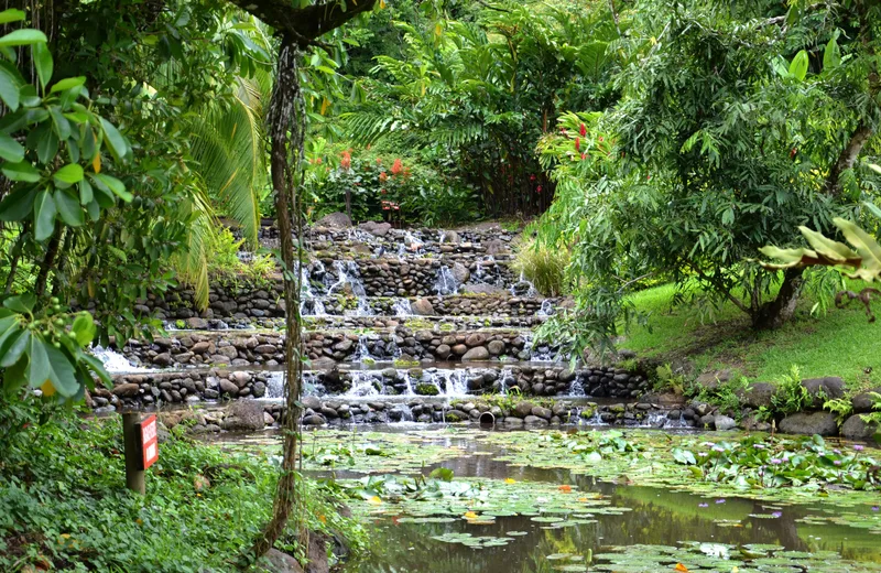 Jardins d'eau de vaipahi - Tahiti Tourisme
