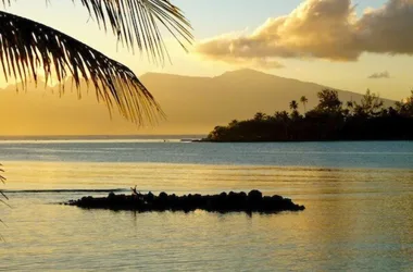 Fare Te Ora Hau - Ecolodge - Tahiti Tourisme