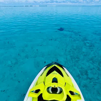 Moorea Paradise Activities