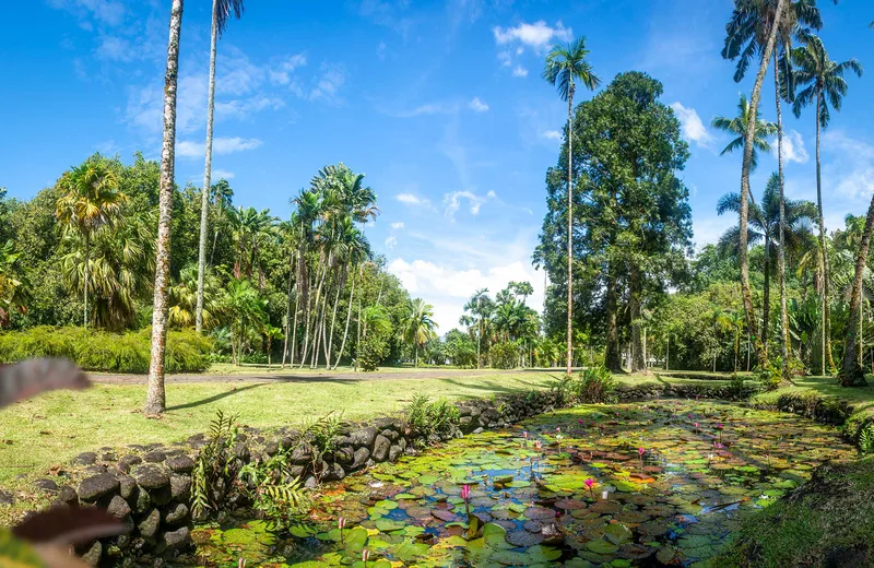 Jardin Botanique Harrison Smith - Tahiti Tourisme