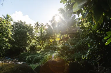 Niu Shack - Tahiti Tourisme