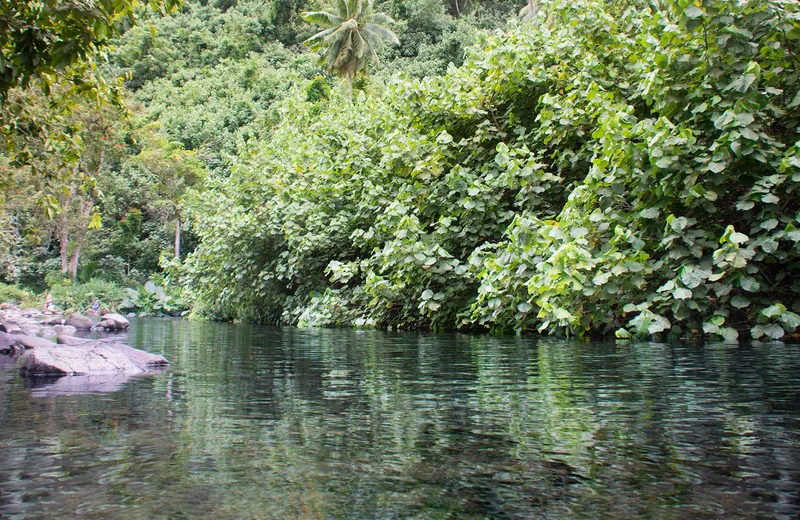 Source Vaima Horizontal 1 - Tahiti Tourisme