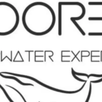 Moorea Underwater Experience