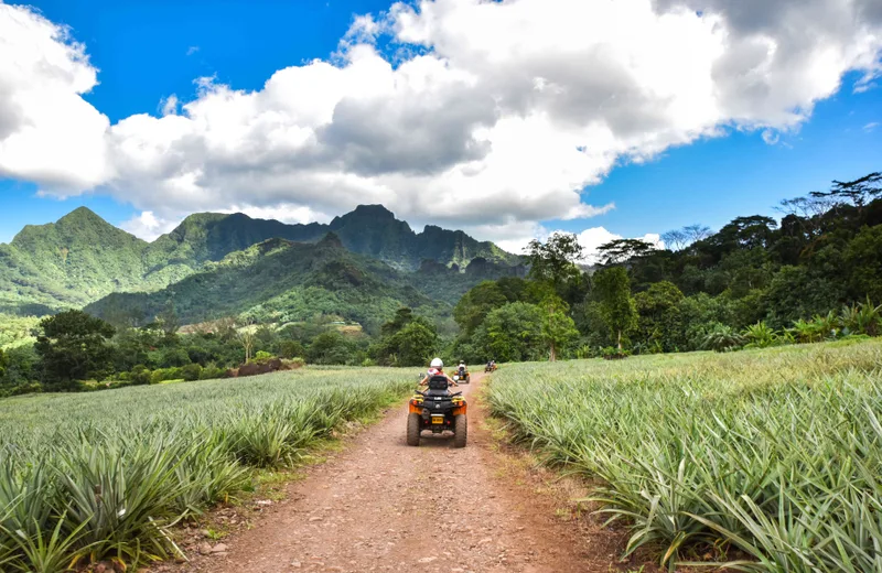 Route des Ananas - Tahiti Tourisme