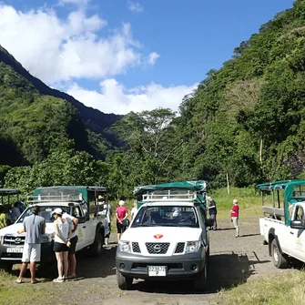 Tahiti Safari Expedition