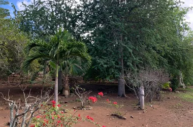 Arboretum Ua Huka  (3) - Tahiti Tourisme