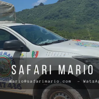 Safari Mario Moorea