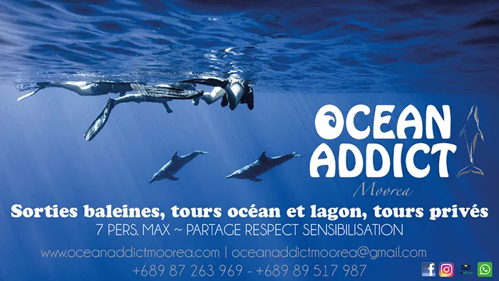 Ocean Addict Moorea - Tahiti Tourisme