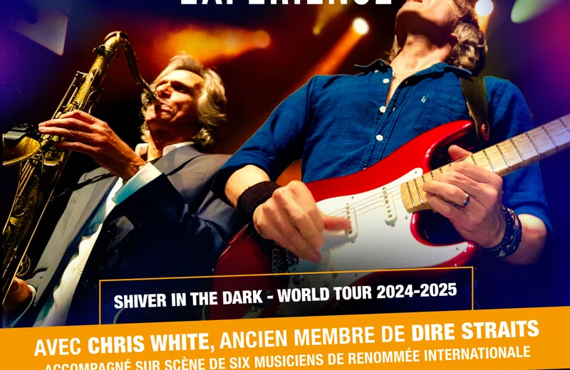 The dire straits experience