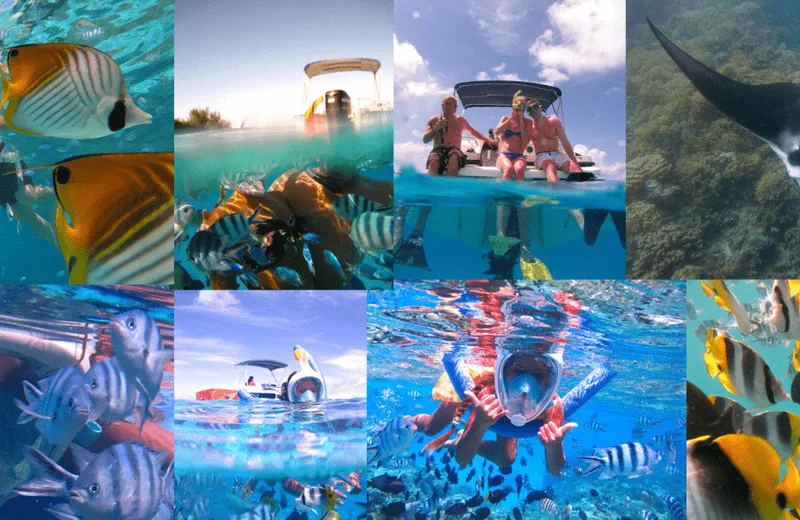 Nemo Snorkeling - Tahiti Tourisme